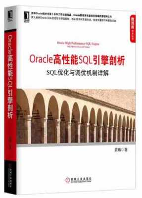 sql优化的书籍（sql性能优化书籍）