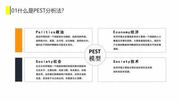 考pest的书籍（讲pest模型的书有）