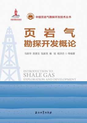 世界页岩气书籍（页岩气技术在世界居领先地位）