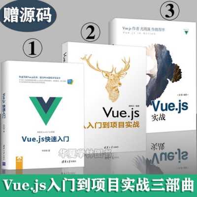 vue入门书籍（vue入门教程简书）