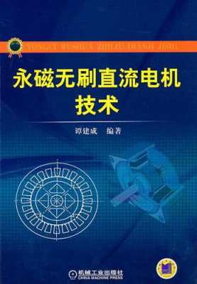 永磁电机书籍（永磁电机技术）