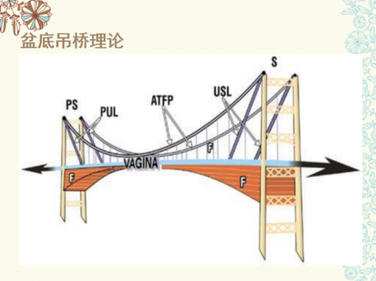 吊桥理论书籍（吊桥原理是什么）