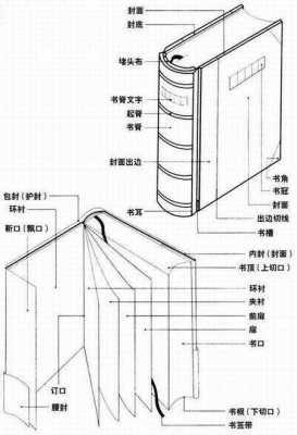 书籍装帧位子（书籍装帧位子图）