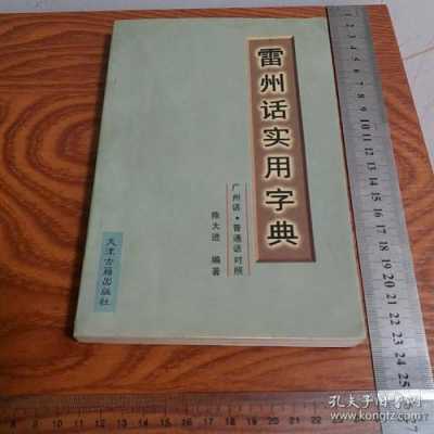 雷州话字典书籍（雷州话实用字典）